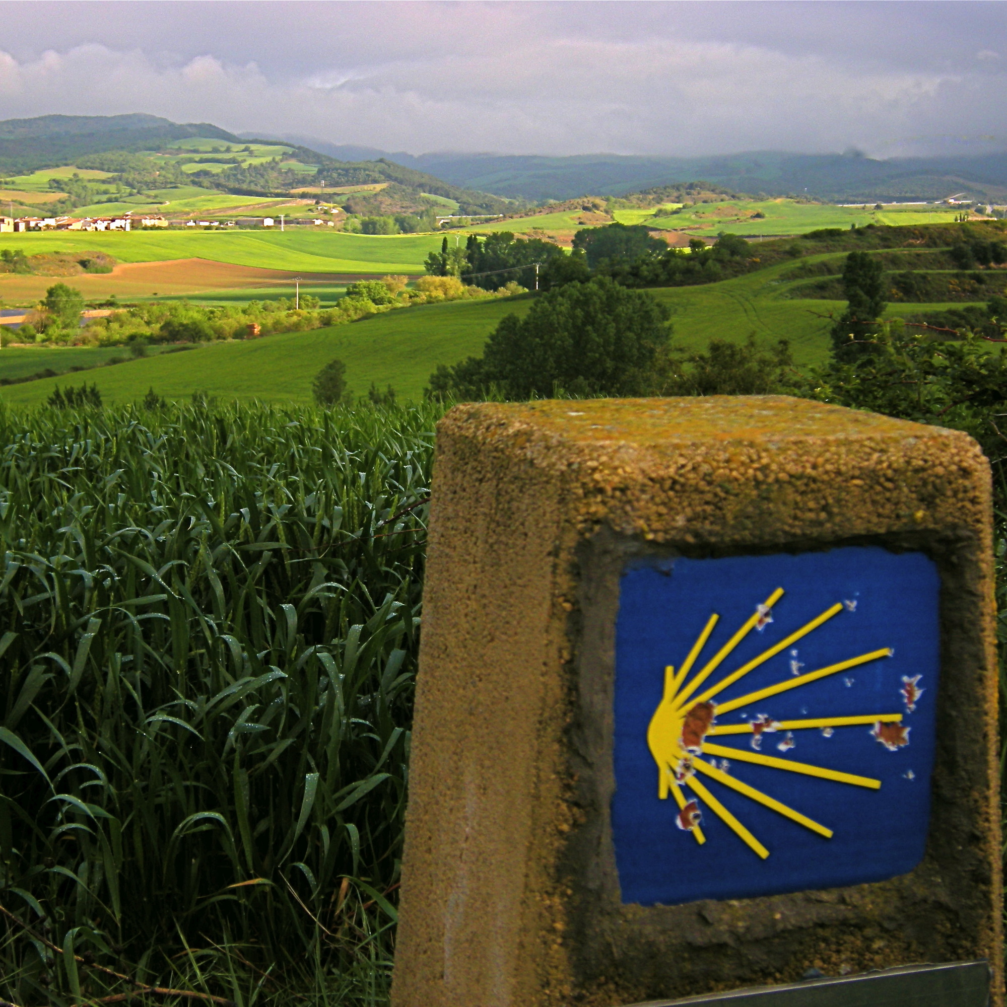 Movie Motivate You to Walk 500 Miles? Film Review: Walking the Camino
