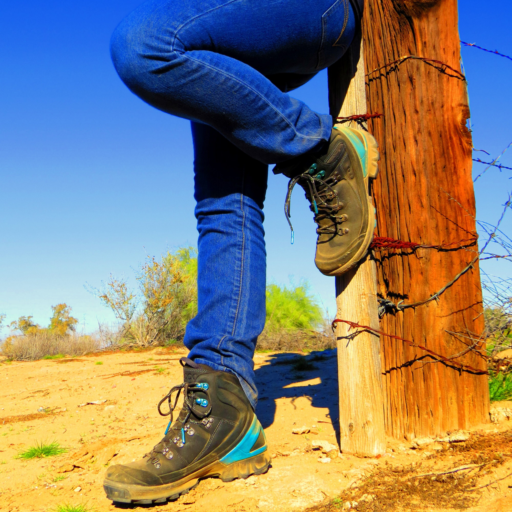 Ecco biom hike womens 2015 hot sale