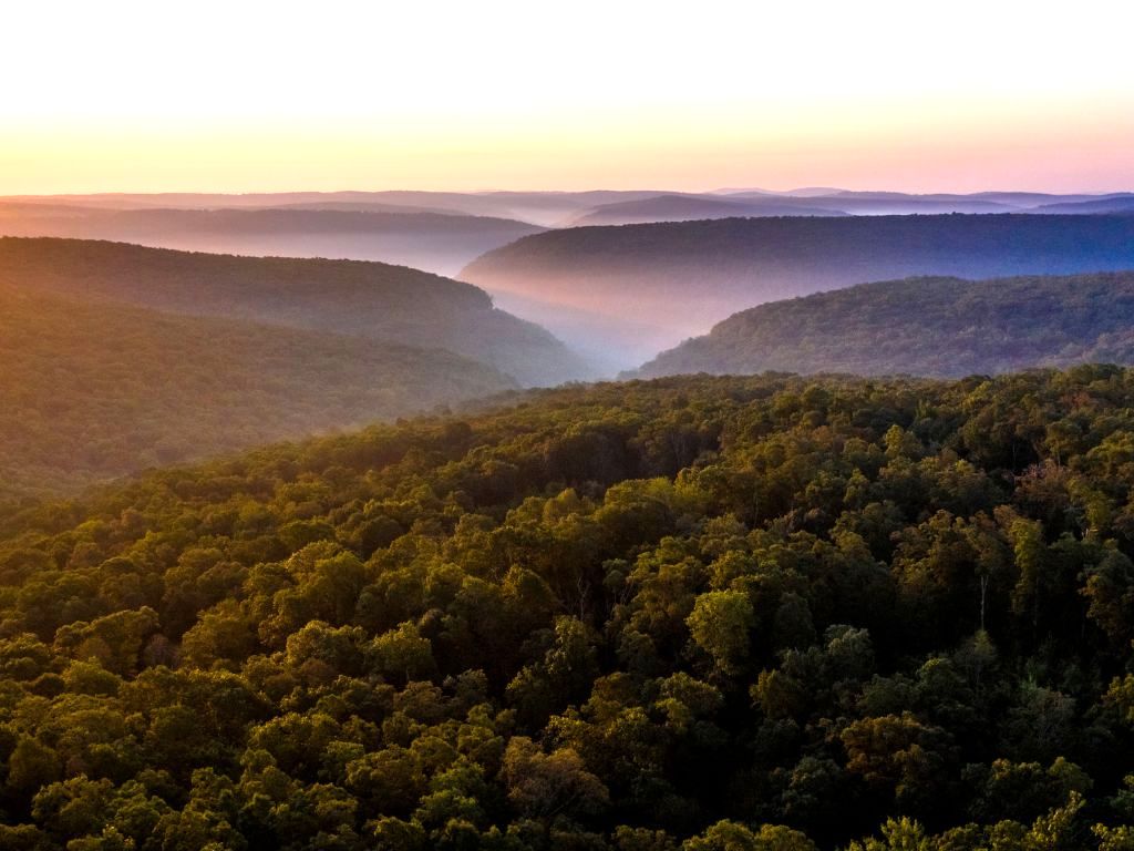 Ozark mountains shop