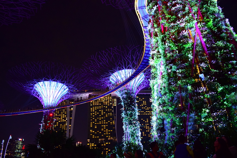 Singapore Gardens by the Bay Light Show