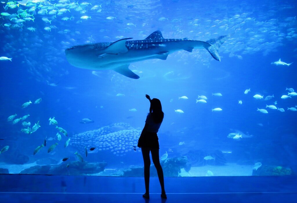 Aquarium RF