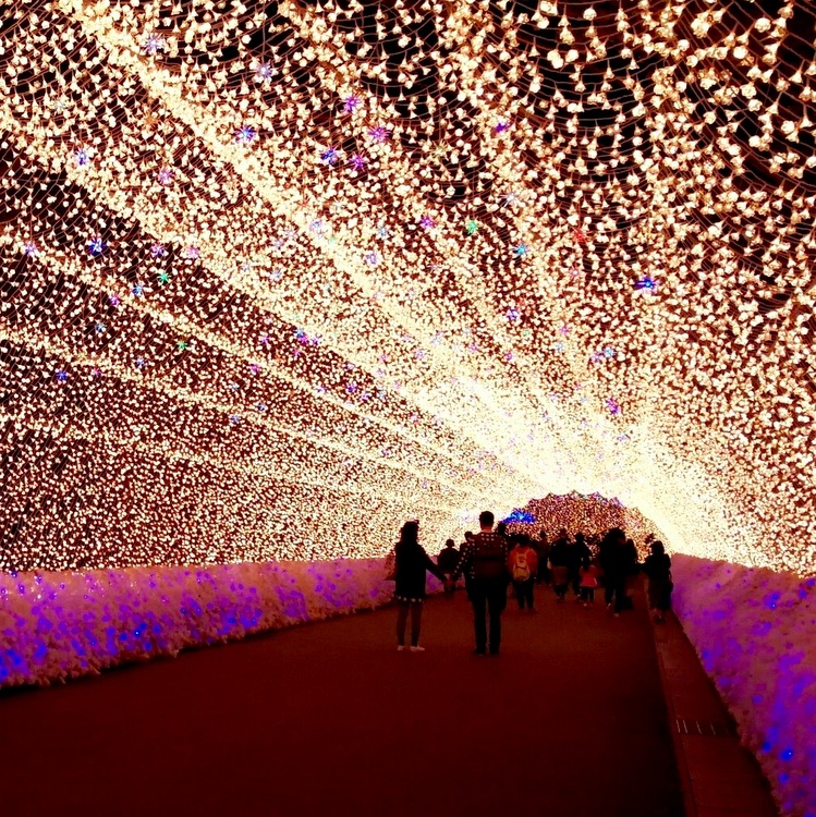 Japanese Fantastic Festival Lighting Show: Must-see Attractions