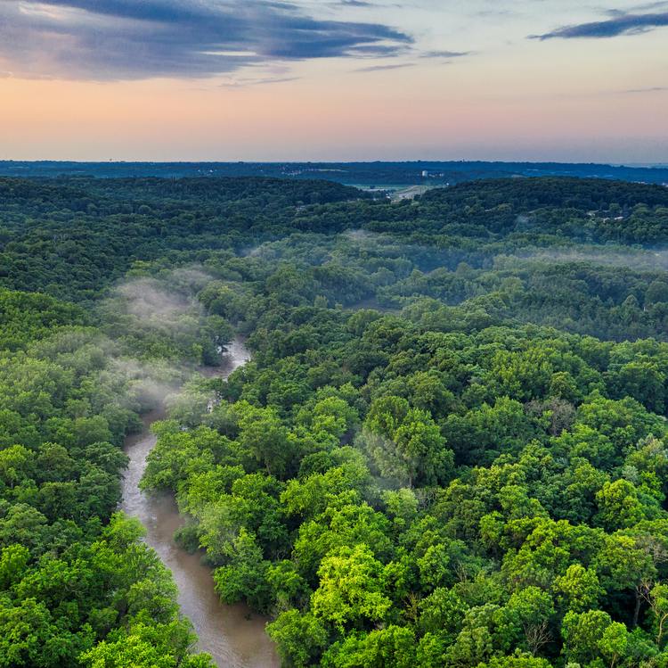 Iconic Wildlife Encounters on an Amazon River Cruise